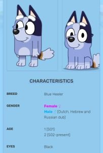What Gender is Socks from Bluey