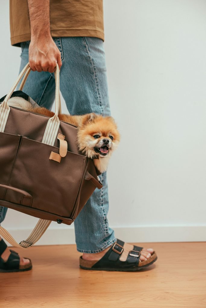 Squeaky Sandal Dilemma